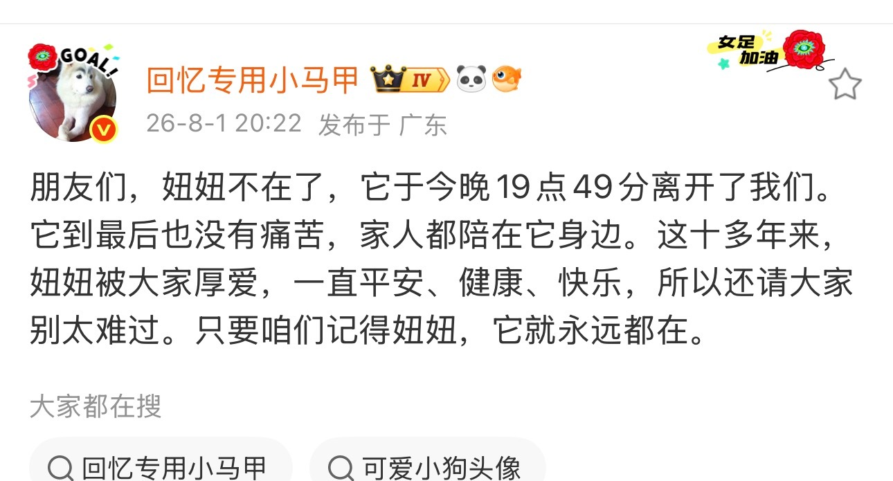 我关注了4507天的互联网小狗不在了晚安妞妞❤️ 
