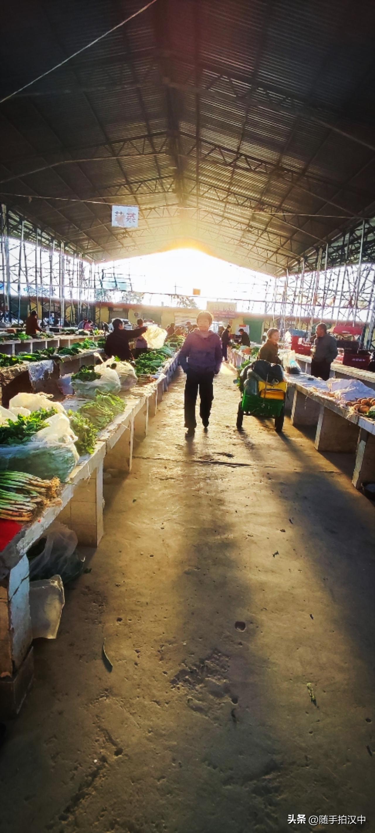 集卡领红包菜市场里逛一圈，老爸赞叹着春菜真多啊！大头菜又嫩又便宜，8毛1斤的诱惑