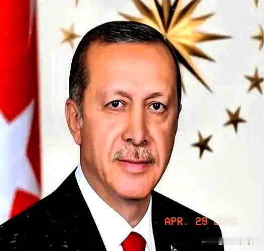 土耳其新消息：

4月28日，土耳其突然放出消息：正全力推动乌克兰问题领导人级别