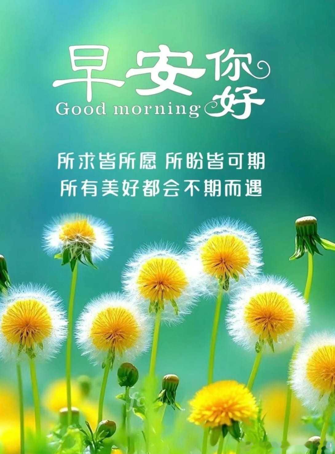 早上好