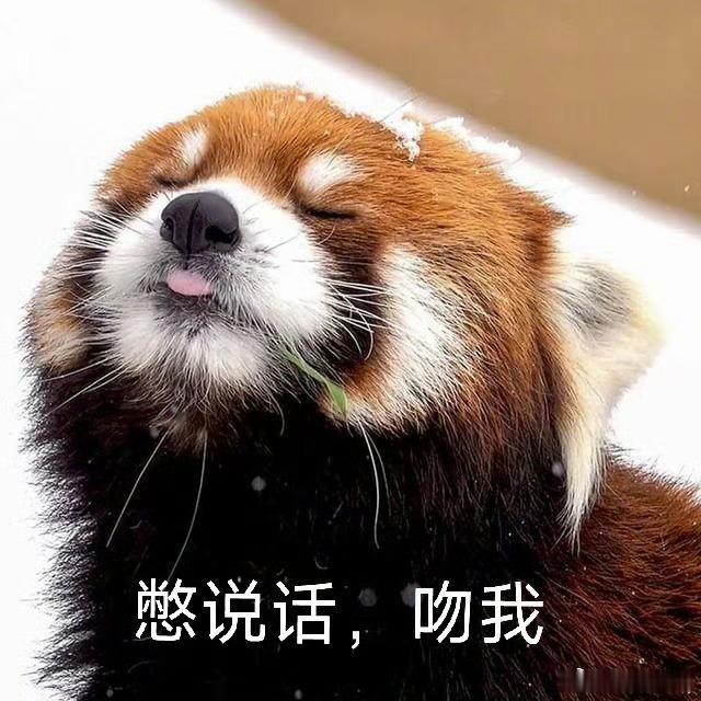 cv天空 亲爱的天空空：八月，我～来～了大家都顺顺利利的哈小熊猫先生开开心心的?