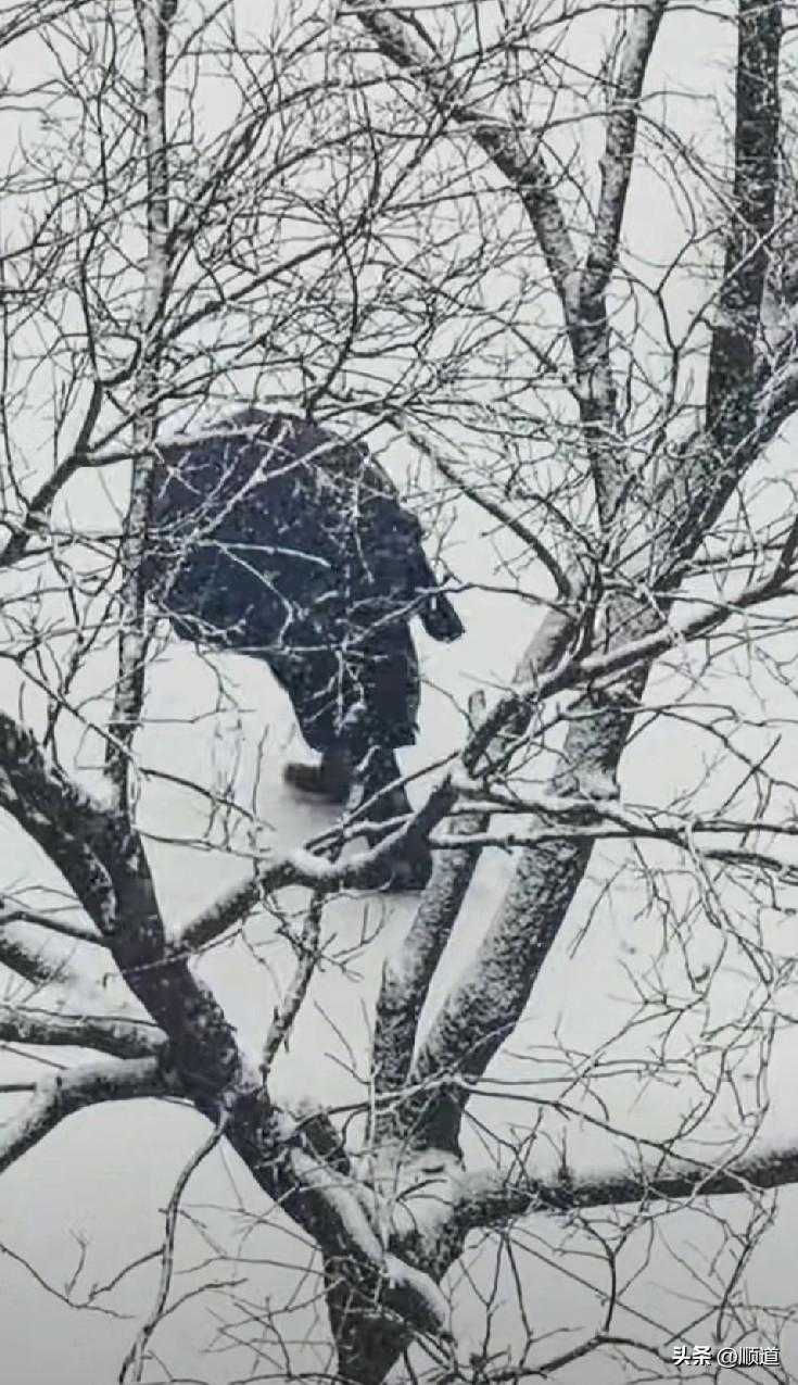 我是真沉不住气呀，假如我知道我未来前夫的现状并了解了一切真相后，还和平时一样假装