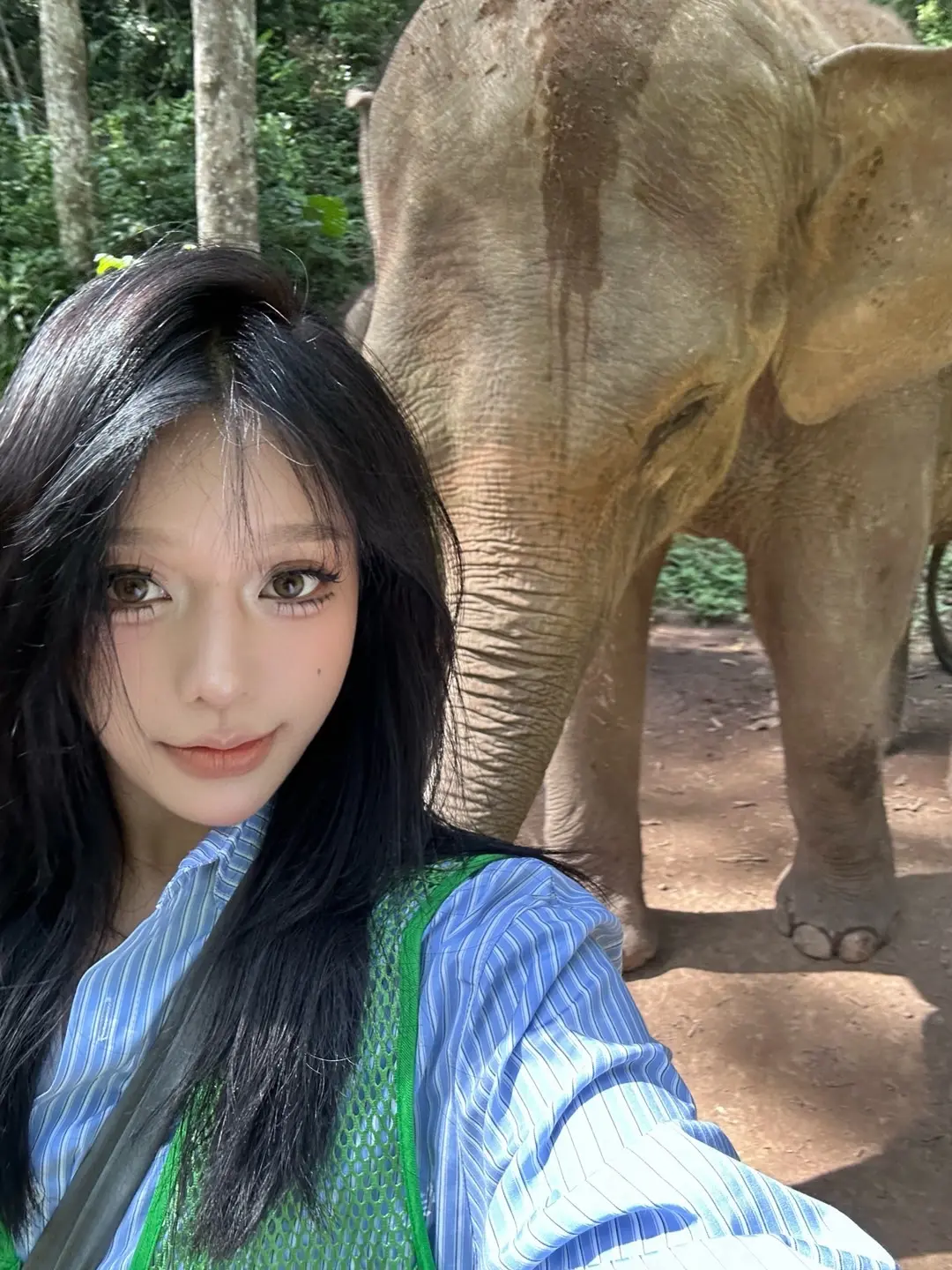 是谁 近距离摸了大象。哦 是我野象谷