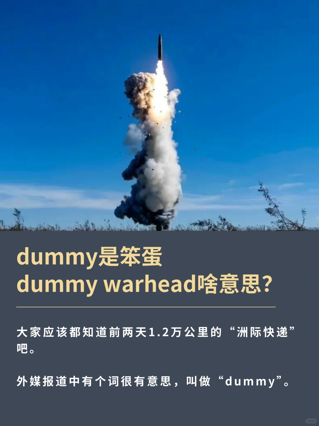 dummy warhead笨蛋弹头？