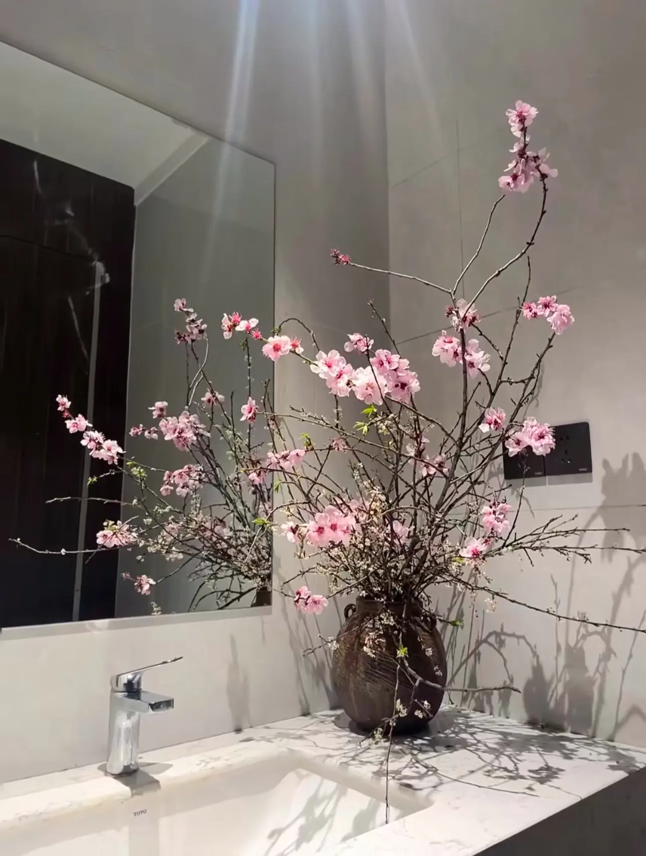 招财 ！招桃花！主要招财！我信了