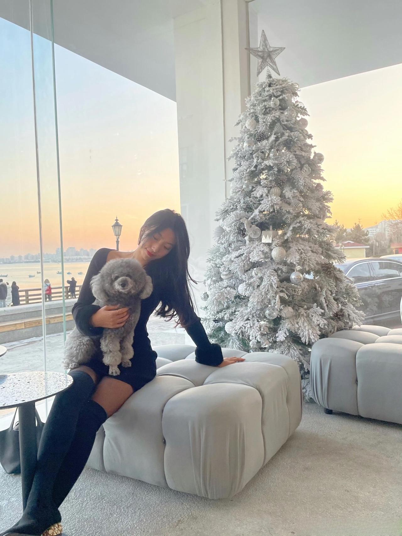 早安，祝各位宝子们平安夜快乐，平平安安🍎上热门 平安夜 我和我的狗 御姐