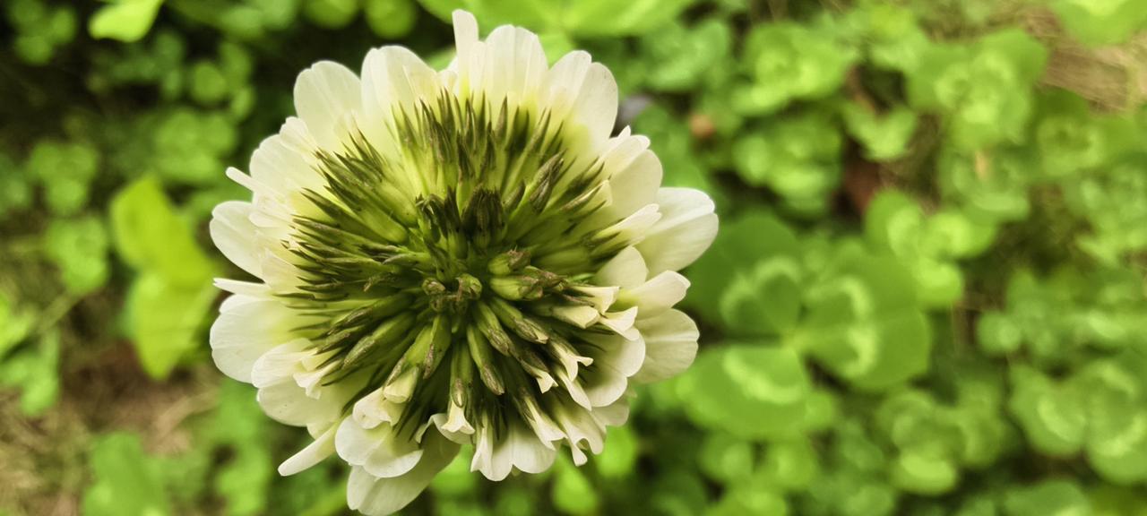 四川万源这事儿真把人看傻了！一男子陪怀孕妻子去产检，得知接诊医生是男的，直接情绪