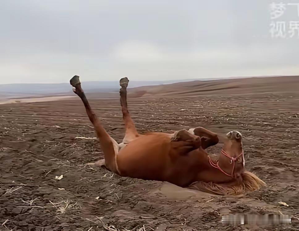 今天免费送你两包盐，明天再送你一袋小米，
肯定他们不会闲得没事干，肯定有所图
菜