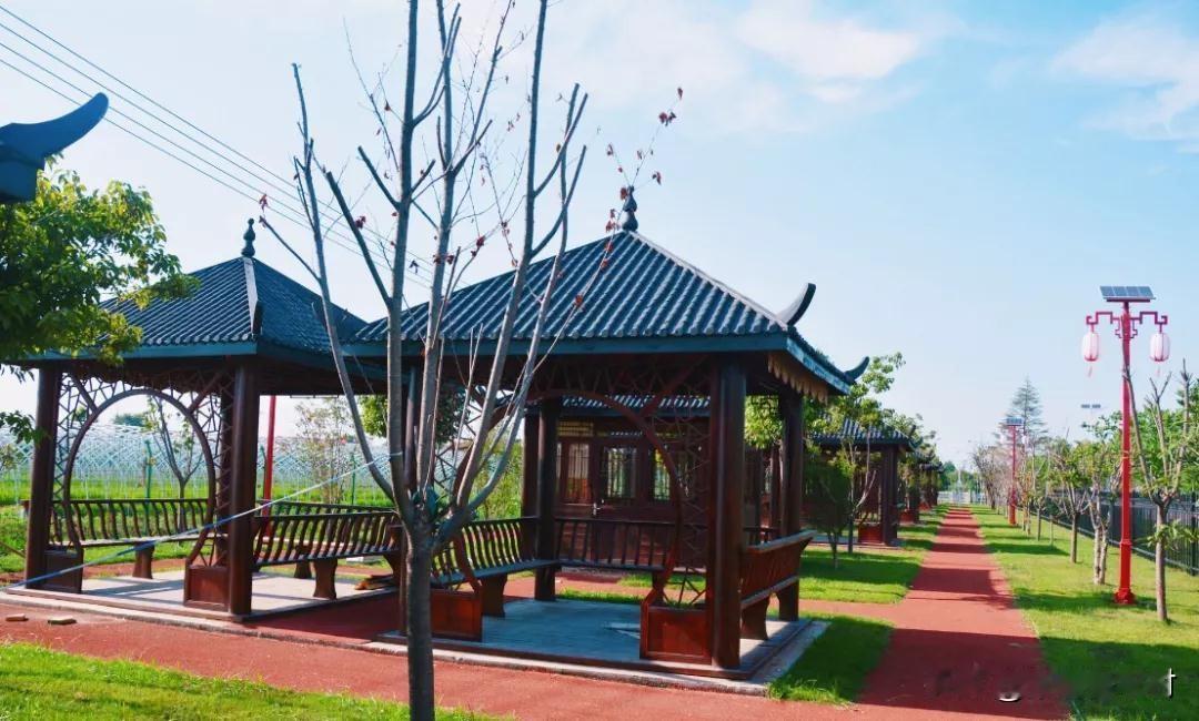 她被人堵在了公厕里泼粪水，闺蜜的老公躲在一边偷着乐。
 小丽就攥着闺蜜的胳膊，把