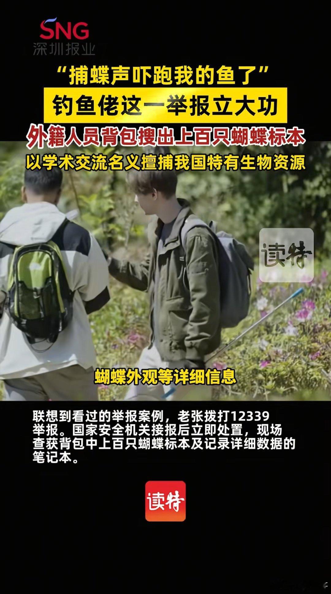 外籍人员境内违规捕蝶被钓鱼者识破4月16日，国家安全部通报：钓鱼爱好者老张发现两