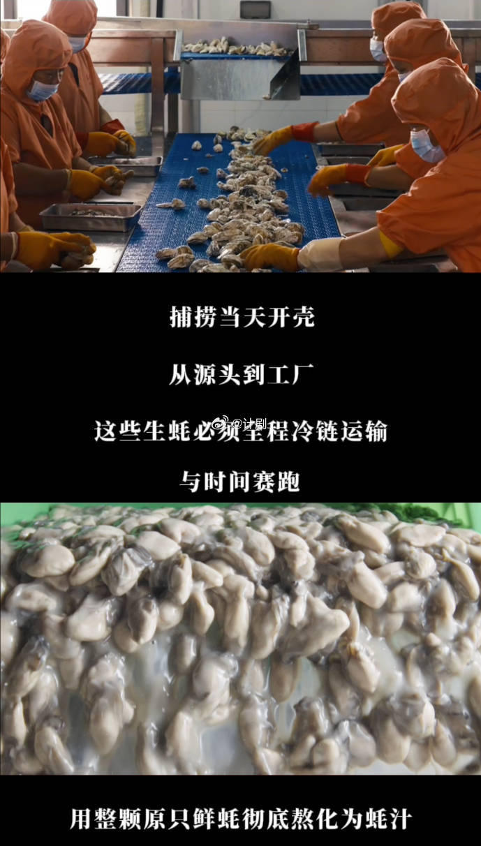 蚝油里真的有蚝吗不要再被刻板印象误导，蚝油的源头就是鲜活生蚝，明代蛎露、清代诗词