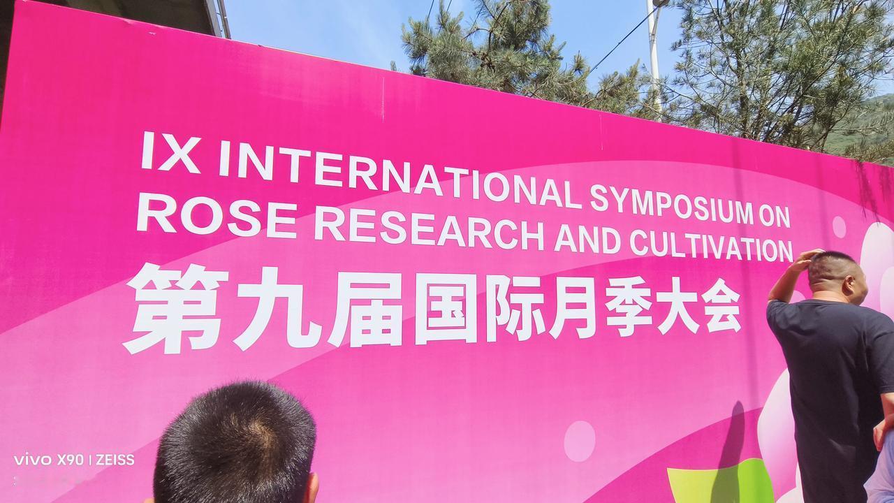 这两天京西石景山区京浪岛这地界热闹非凡，原来这里正在举办“第九届国际月季大会”。