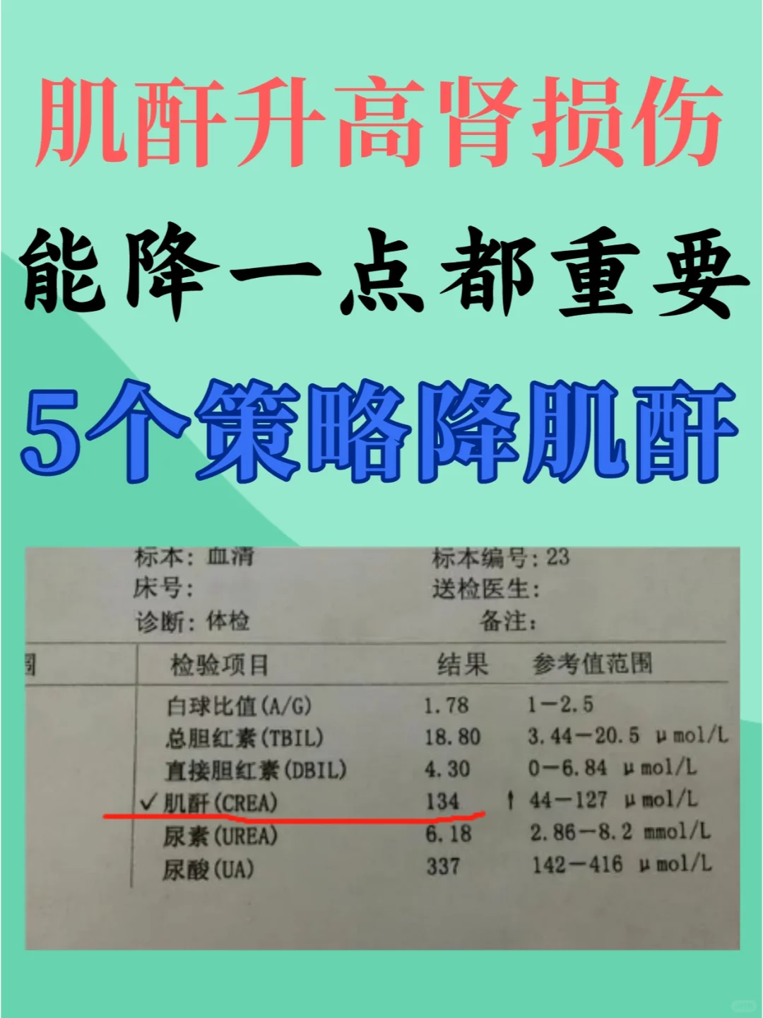 好消息‼️公开5⃣个策略降肌酐，有效