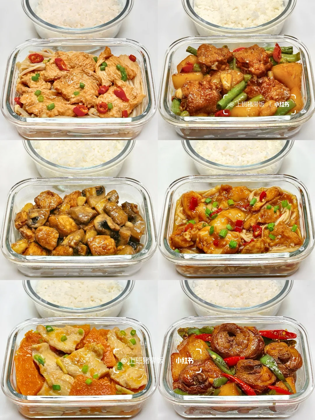 上班带饭丨隔夜菜可比外卖强多了～