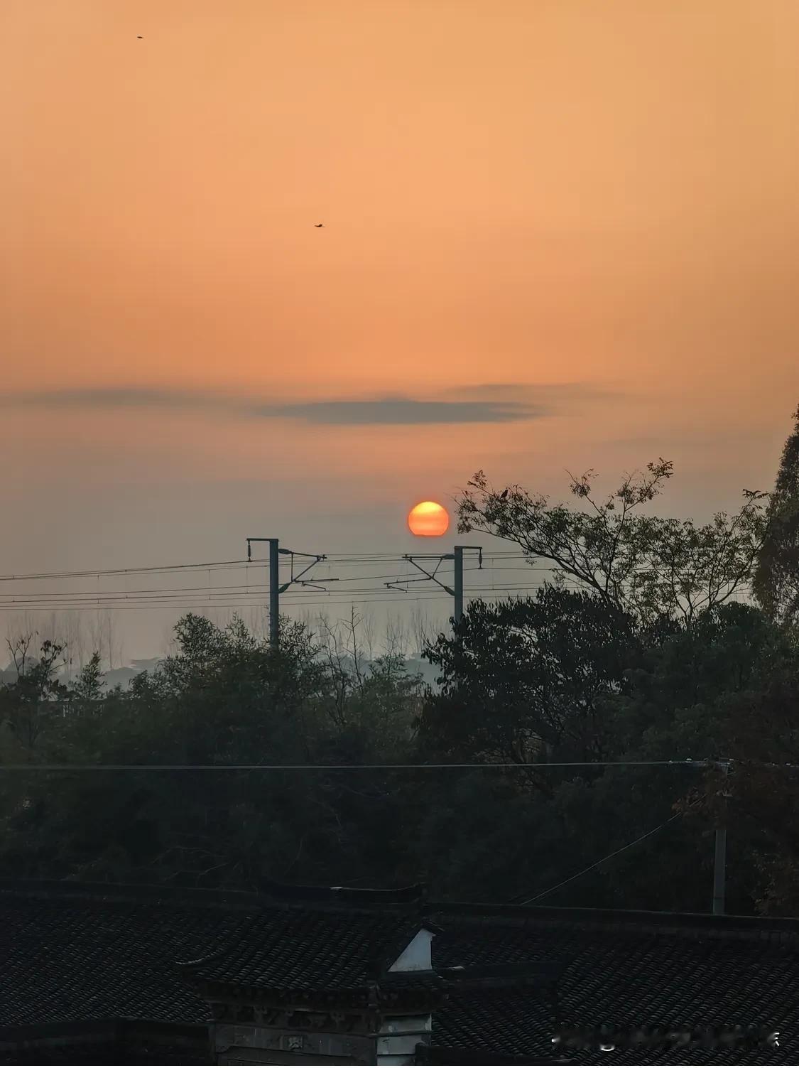 农村有这么个现象，很多的子女，打电话回来叫父母不要种地种菜，不用养鸡养猪，更不用