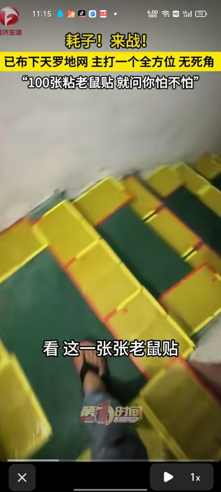 5月1日，广东东莞。见过抓老鼠的，没见过这么豪横的。电动车店里，店主直接布下天罗