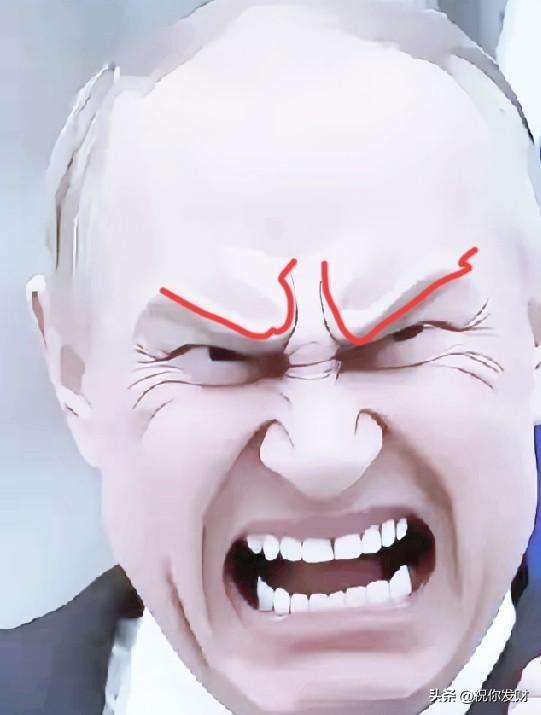 2025年11月5日，俄罗斯总统在克里姆林宫隆重宣布，为“海燕”核动力巡航导弹和