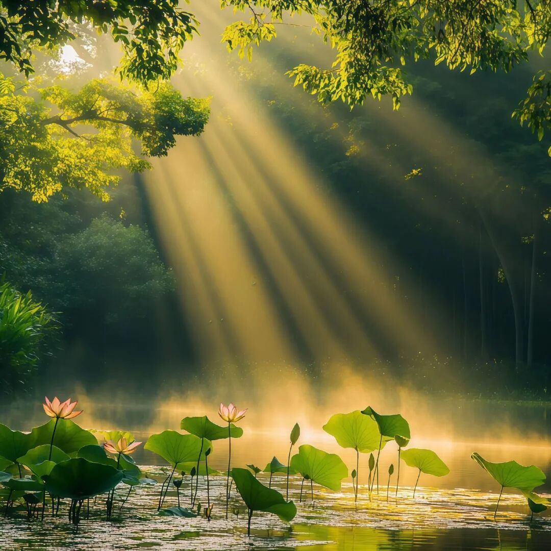𝙵𝚛𝚎𝚎 𝚍𝚊𝚢 🍃“晒晒太阳 发发呆 今天不赶时间” 