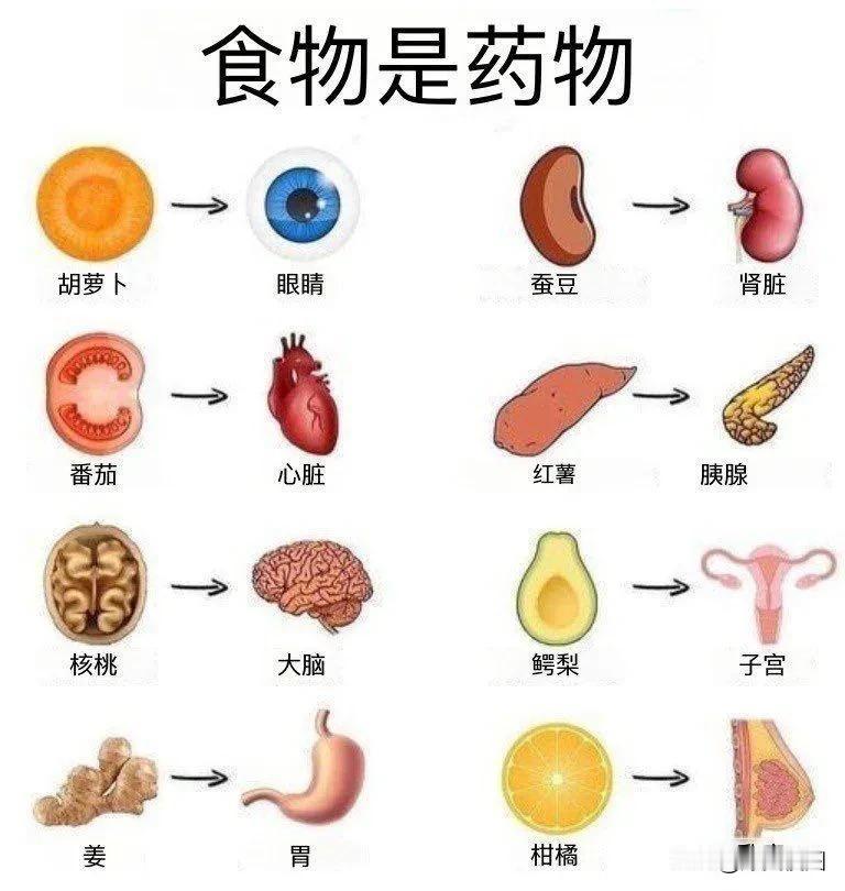 以行补行，食物及药物药食干预 补药理我