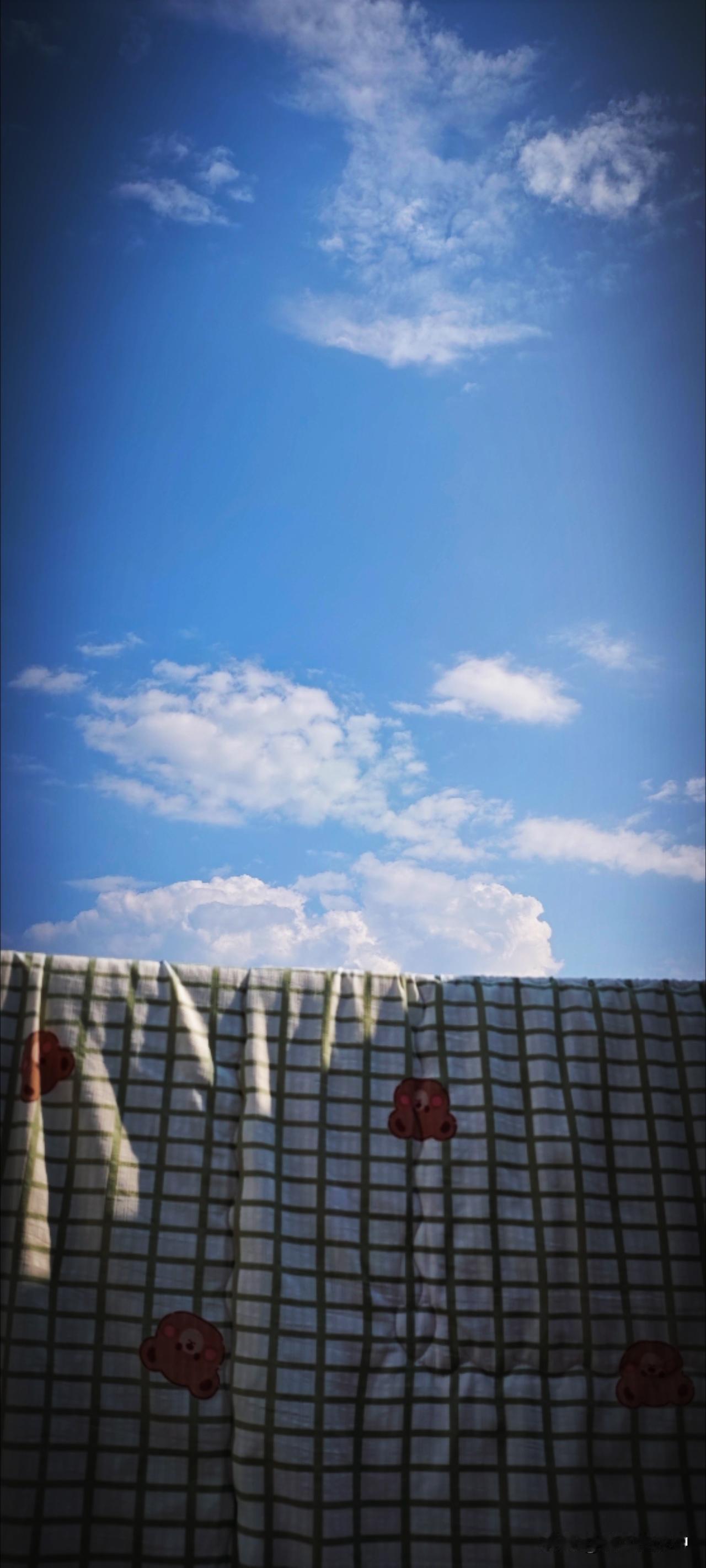 夏天是冲动的、肆意的、滚烫的，就像火辣辣的太阳一样。天空是不染一丝杂质的湛蓝，如