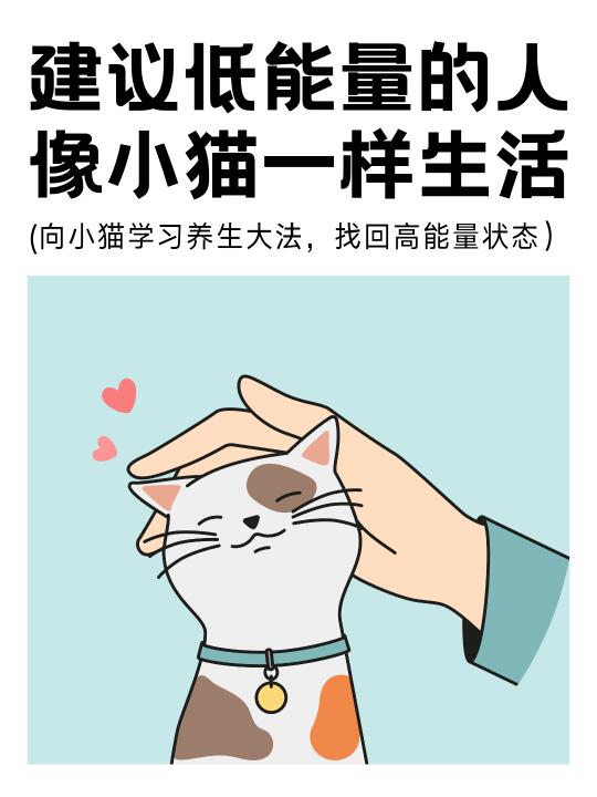 低能量的人春天要像小猫一样生活