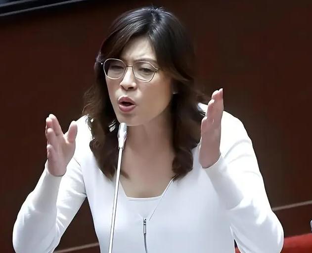 解放军的围岛军演，把国民党逼回了原形！面对高悬头顶的达摩克利斯之剑，蓝营急得翻出