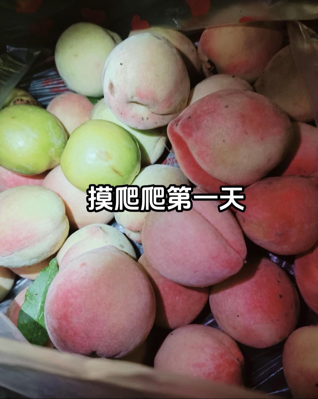 你们每天摸多少个