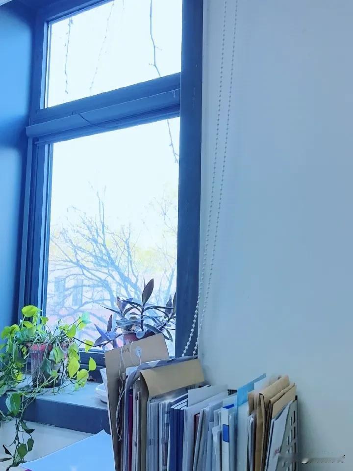 下一个节气是小雪