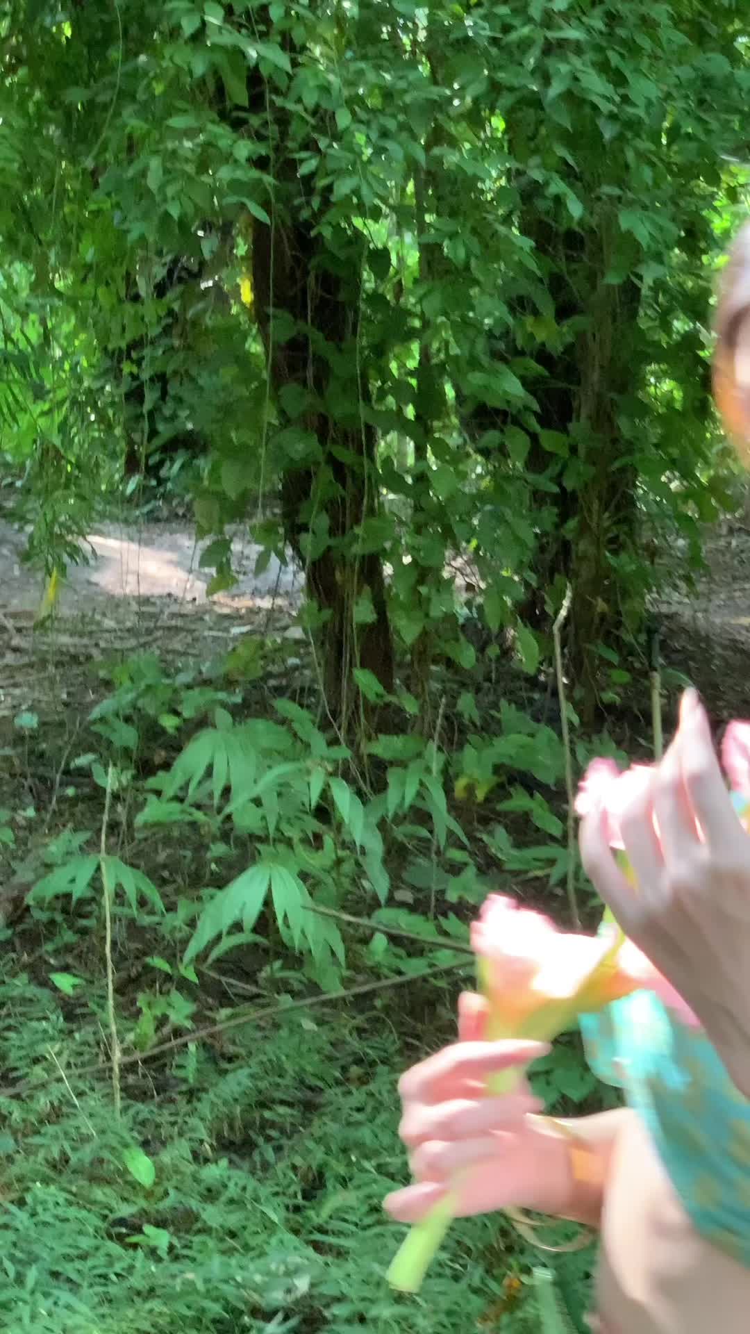 光有光的来意🫧 在版纳过盛夏🧚🏻🧚🏻🧚🏻