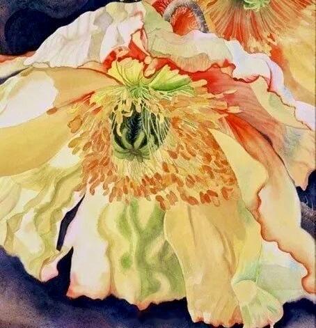 加拿大水彩画家Marney Ward以巨幅、鲜艳、逆光特写的花卉作品而闻名。她善