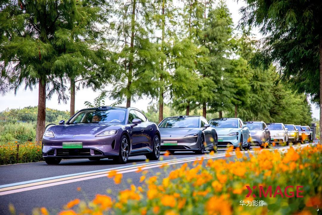 华为影像学院・安徽站🚗搭乘鸿蒙智行 车队漫游合肥，驰骋湖畔公路，游走山水画卷，