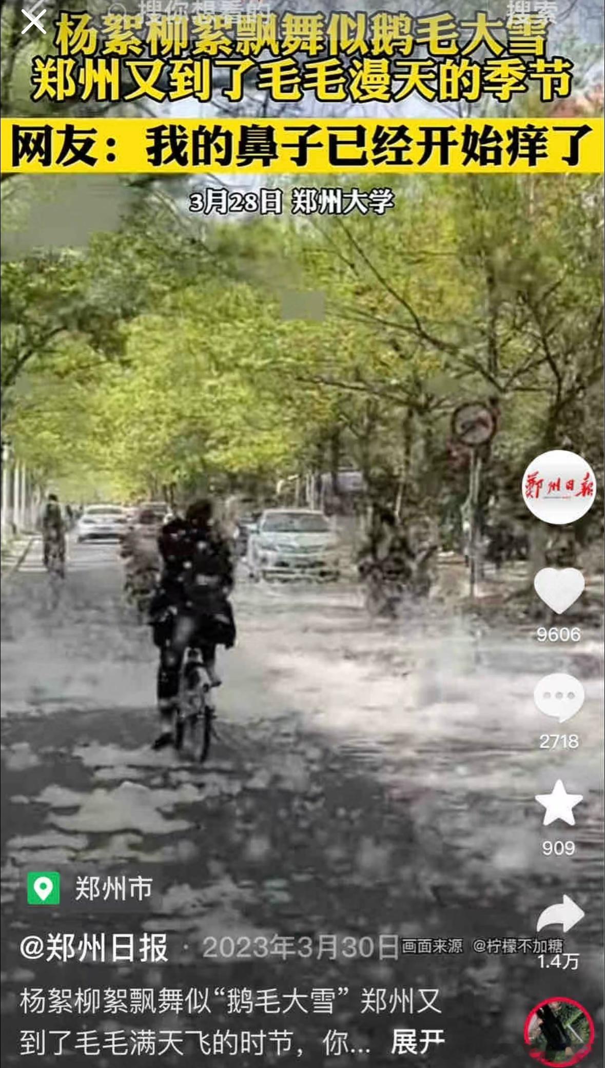 原来南方也逃不过春季过敏…北方有杨柳絮，南方有异木棉它们共同的名字叫：我的抗过敏