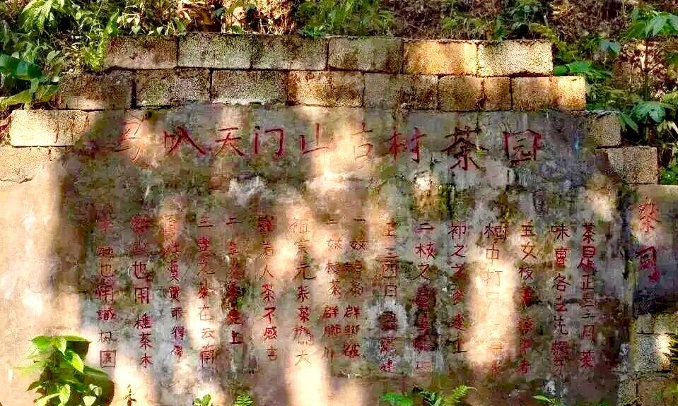 原始森林 户外徒步打卡地
