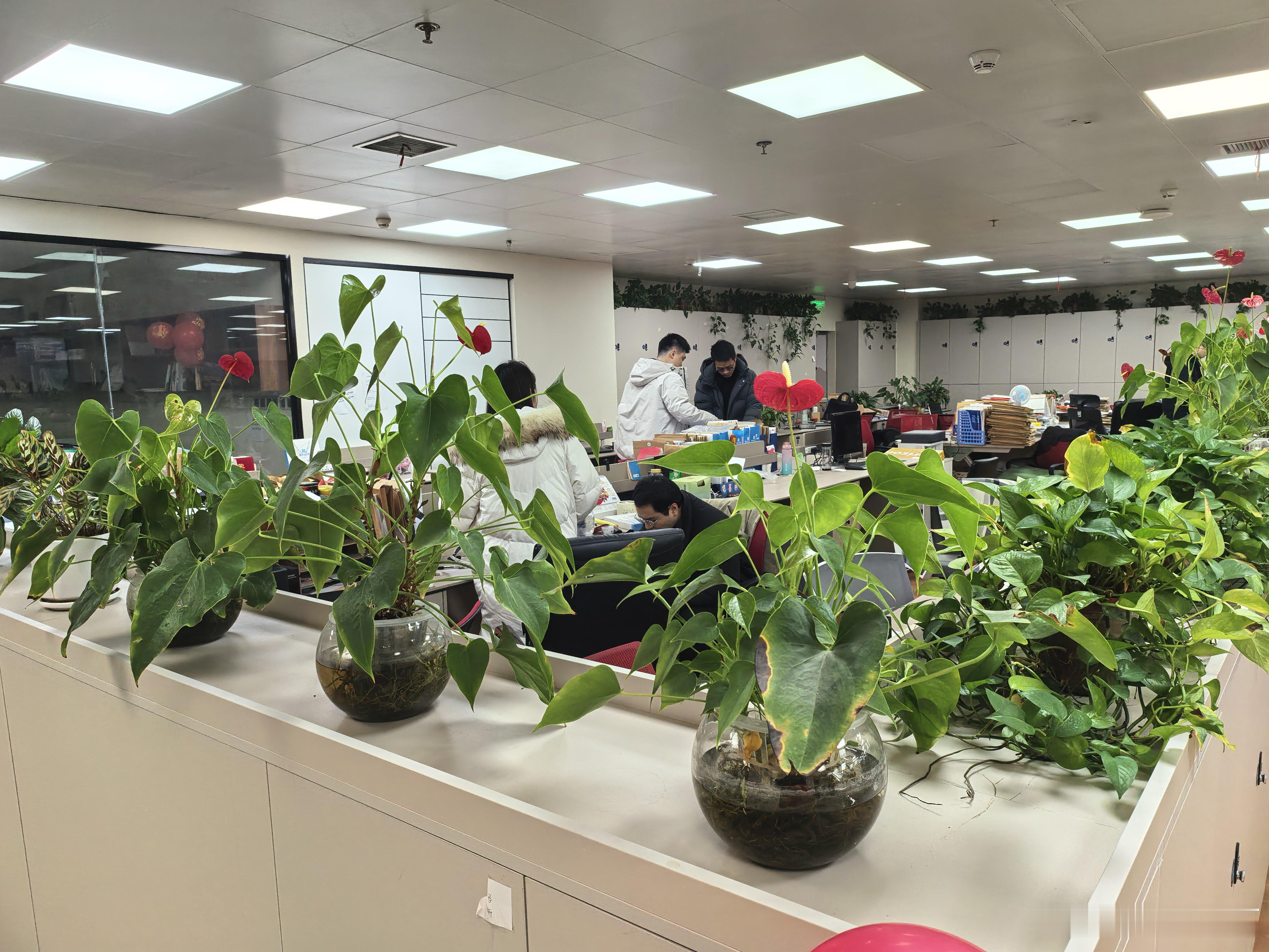 做正确的事情，而不是感情用事。朋友找上门来借钱，首先你要问清楚事情的来龙去脉，要