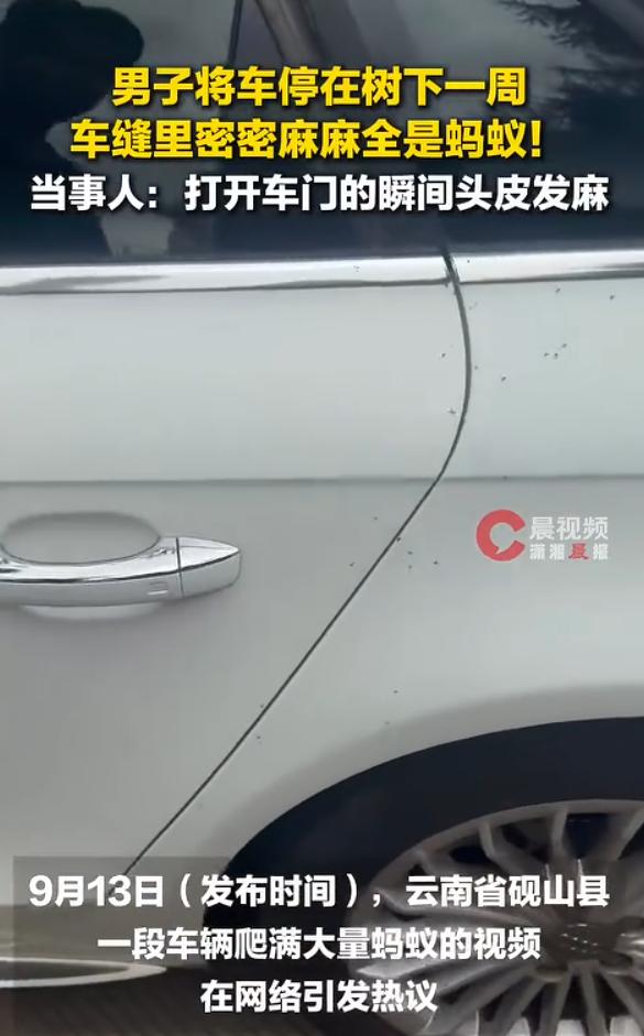 云南砚山，一男子因住院将车停放在医院旁花坛边的树下，随后转院导致车辆搁置一周无人