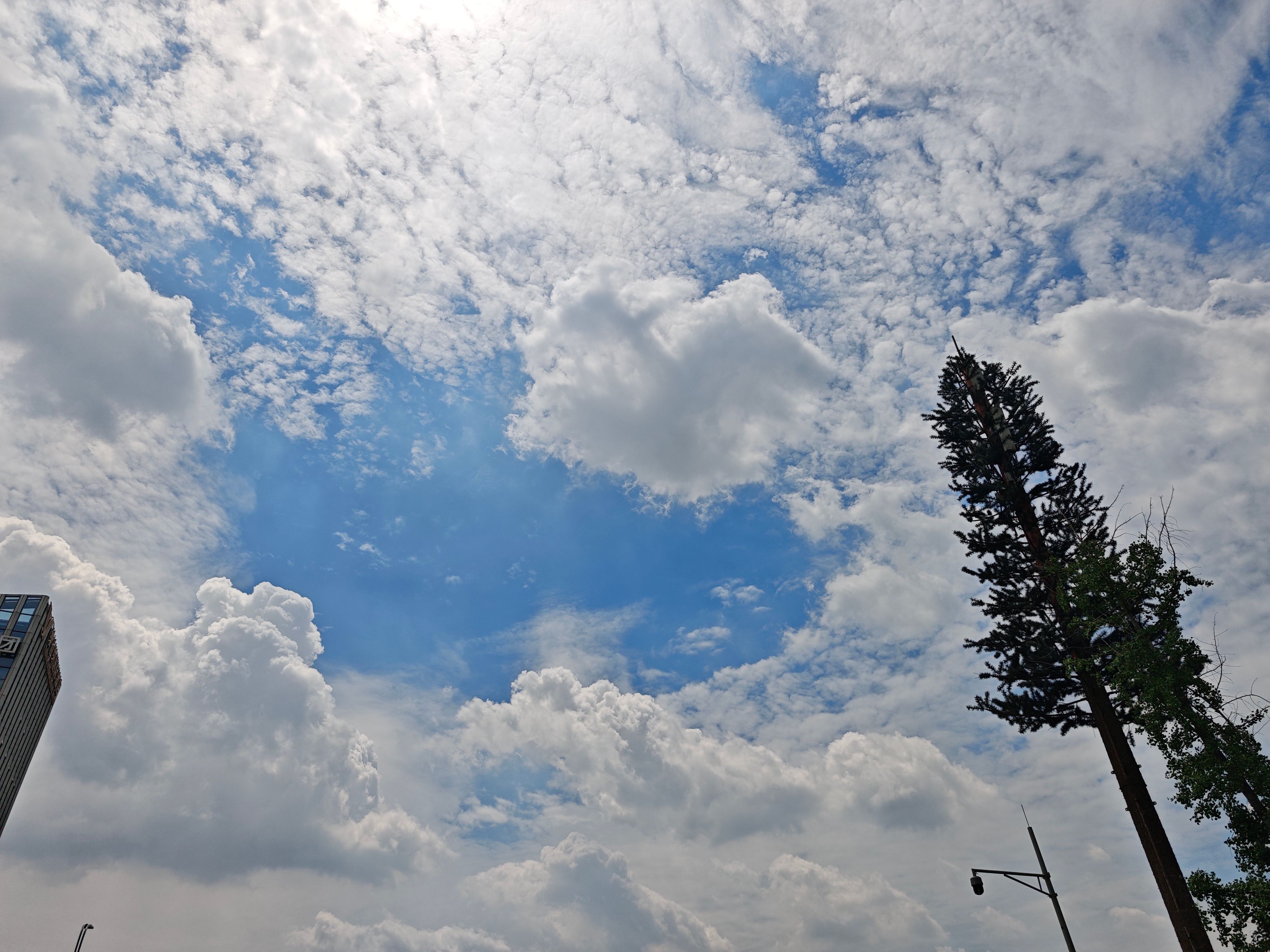 ☁️点进草稿箱发现前几天拍的没发出来…我就这样日常火速发布火速退出根本不注意发没