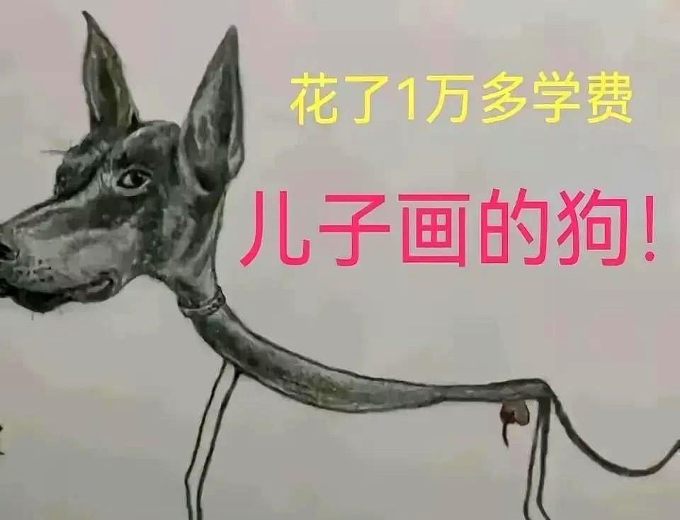 刚刷到了一个视频，男子吐槽掏高价给他儿子报的画画班，下面是学了几个月的杰作，他发