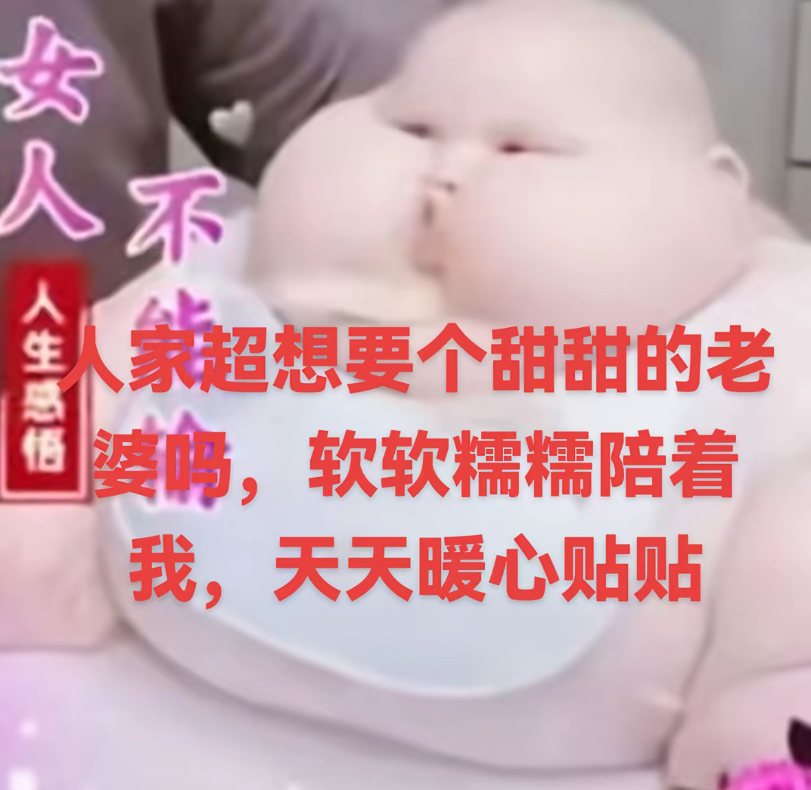 分享图片 