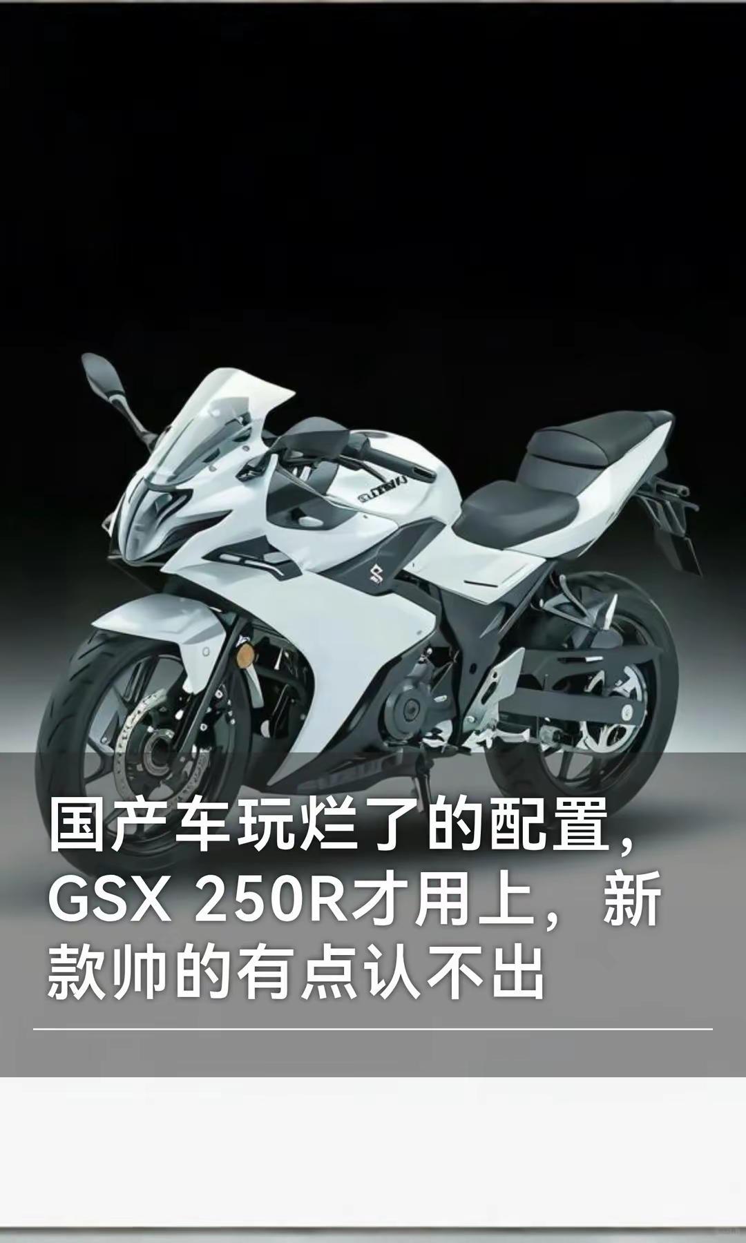 国产车玩烂了的配置，GSX 250才用上。国产车玩烂了的配置，GSX 250才用