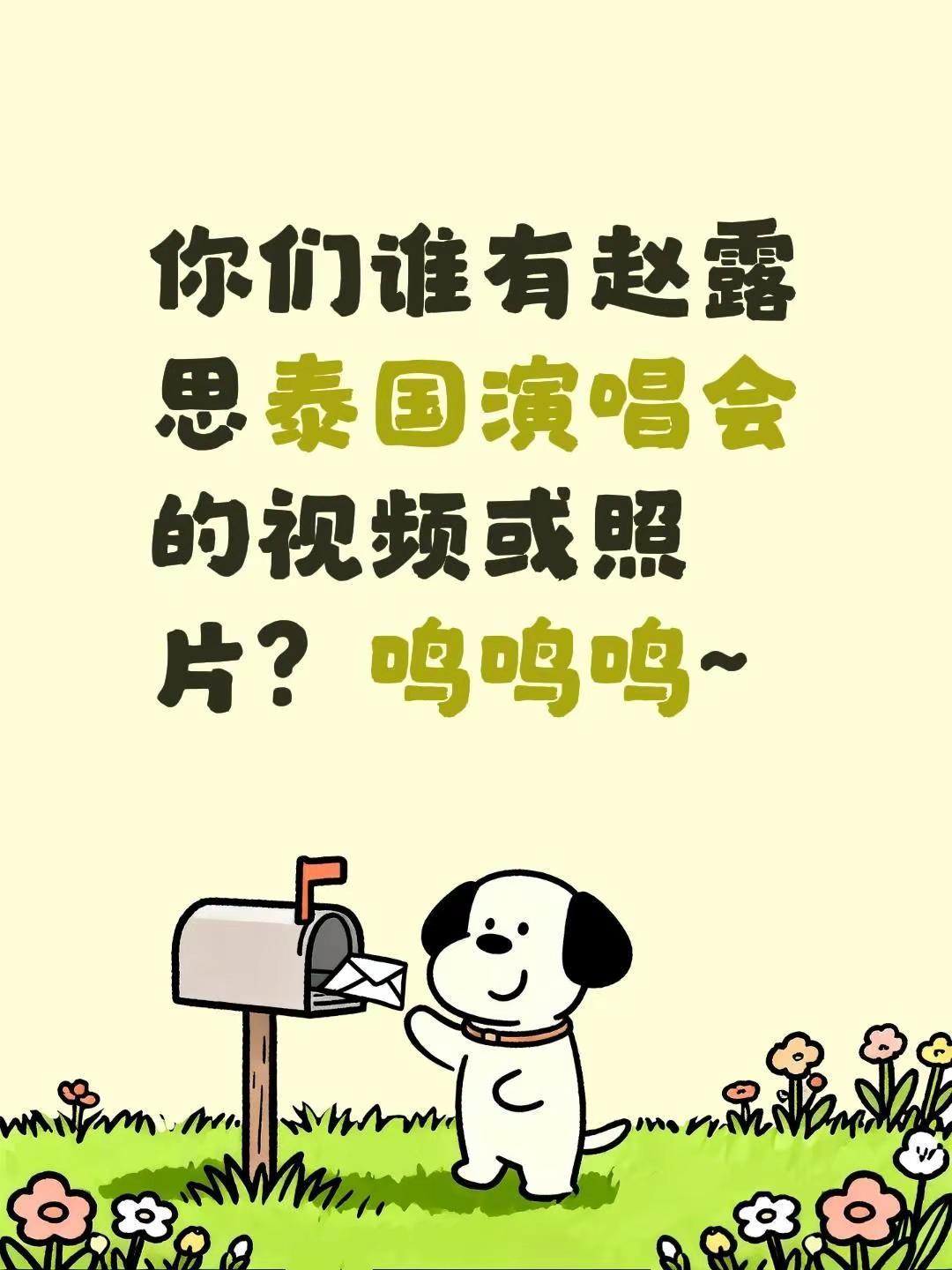 你们谁有赵露思泰国演唱会的视频或照片？鸣鸣鸣~赵露思 露思 曼谷演唱会 泰国曼谷