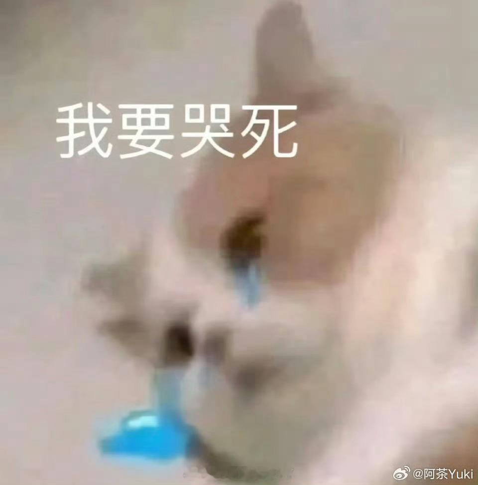 水果我只吃不出轨的不行了、我网速不够快、有没有人给我解释下什么意思哪些水果是不出