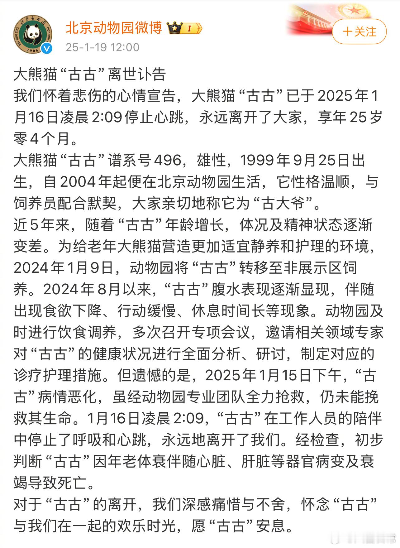 北动大熊猫“古大爷”古古去世 