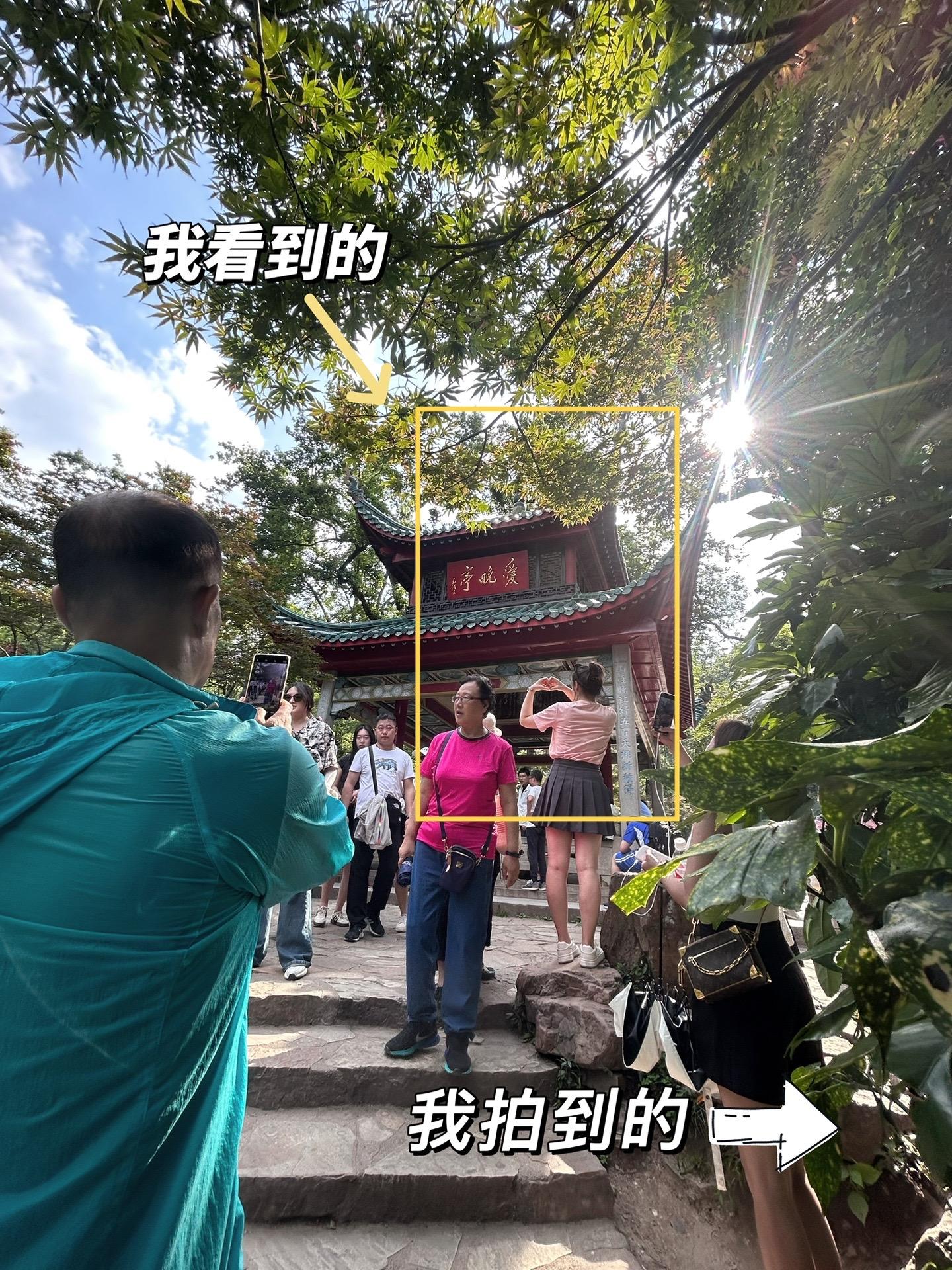 长沙爱晚亭｜我看到的🆚我拍到的。