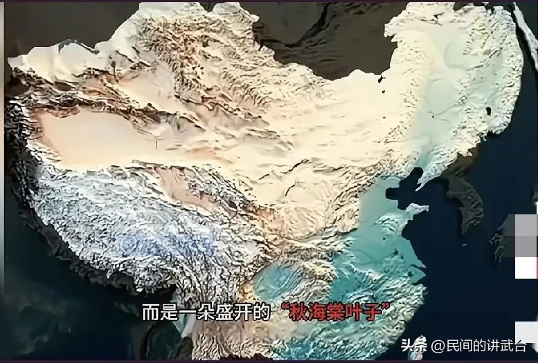 听了几十年的《蒙驼铃》，今天才知道中华秋海棠叶的含义，惭愧了！