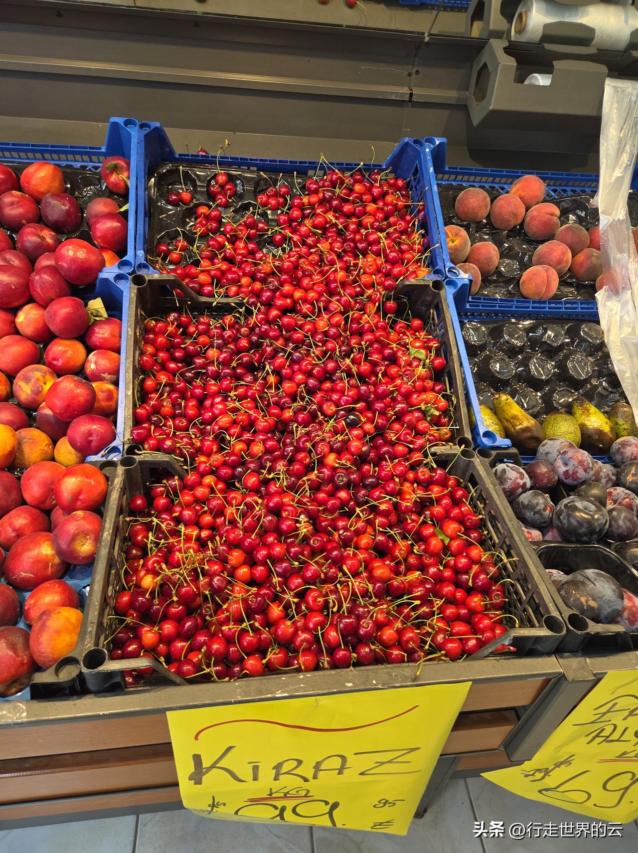 车厘子自由