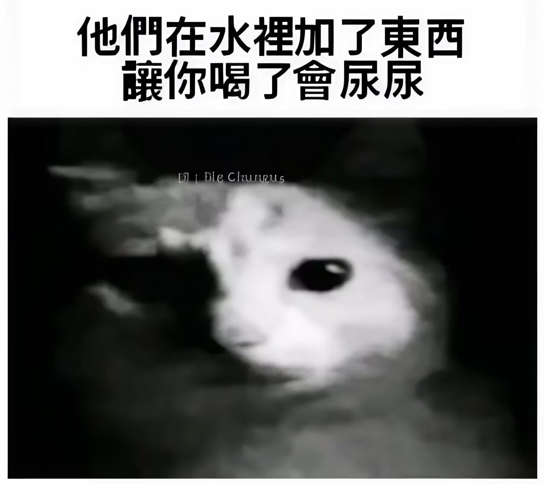 好可怕…… 