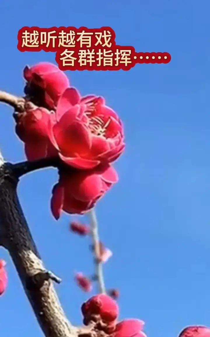 证人把存微信记录的旧手机寄给纪委后连夜赶到，4月10号早上9点40蹲在法院门口等