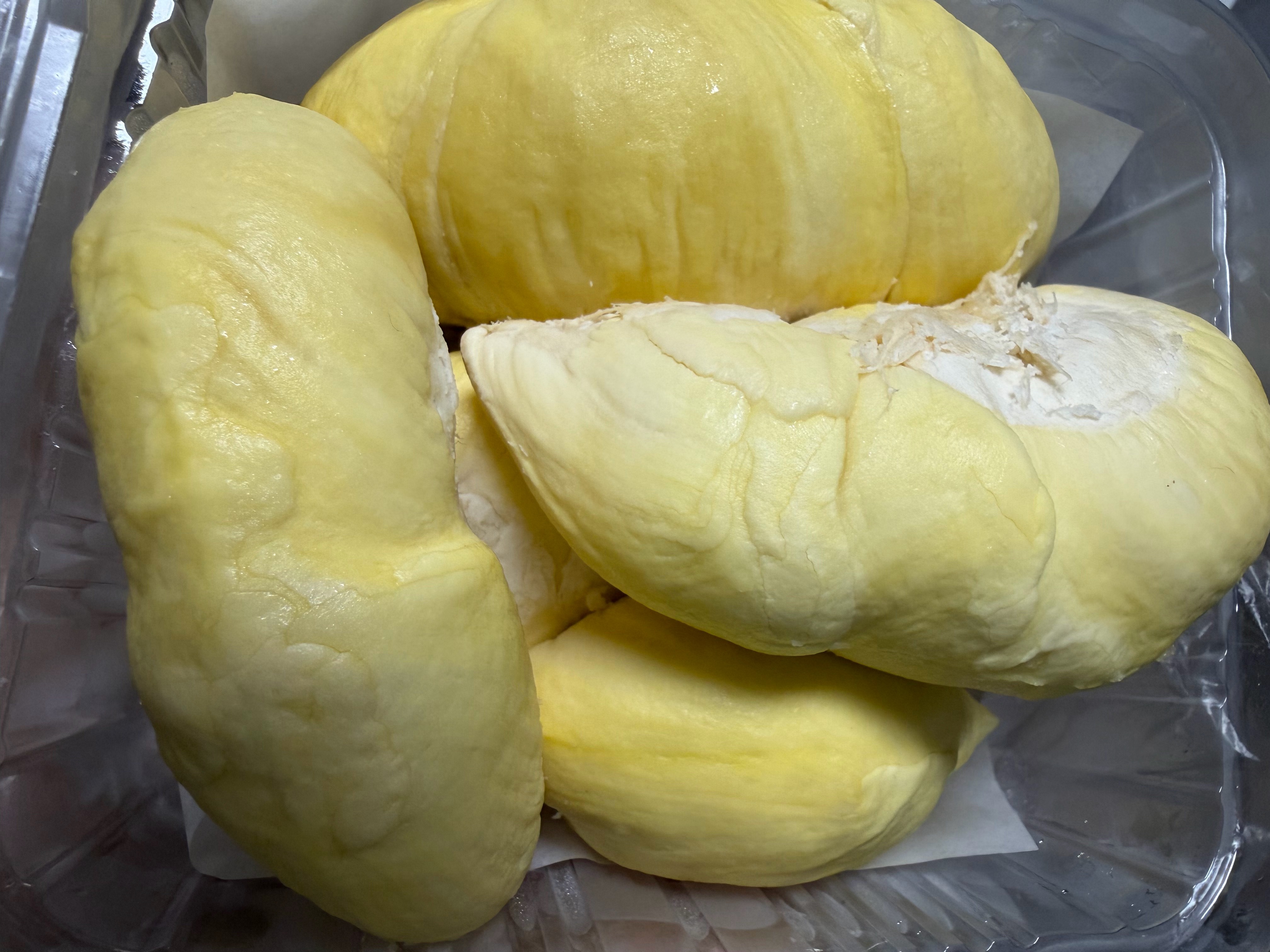 🥹🥹这猫生我羡慕不来 ​​​
