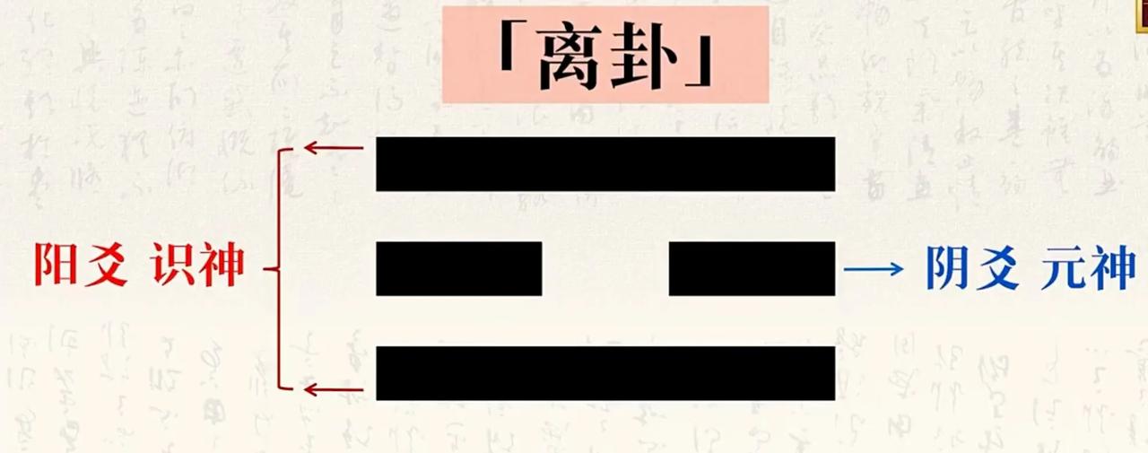 元神水性，喜清静～
识神火性，喜热烈～
静下来，让元神有更多的主事时间～
让单机