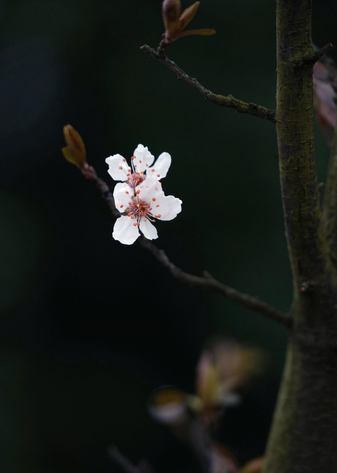 跟着心走，不将就，不凑合。聊不来的人，多说一句都觉得疲惫；聊得来的人，彻夜长谈也